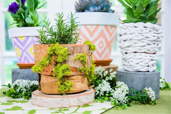 30 Unique DIY Flower Pot Ideas - Flower Planter Ideas - Lost At E Minor