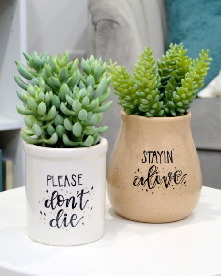 Creative Plant Pot Decorations: Elevate Your Greenery