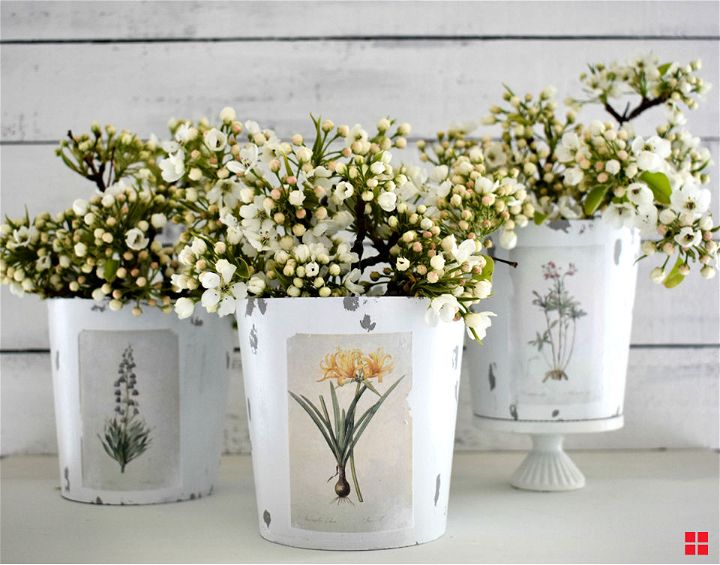 Photo Transfer Flower Pots