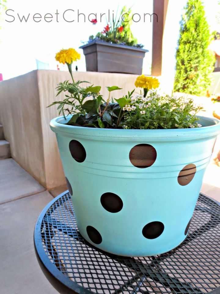 Polka Dot Flower Pot