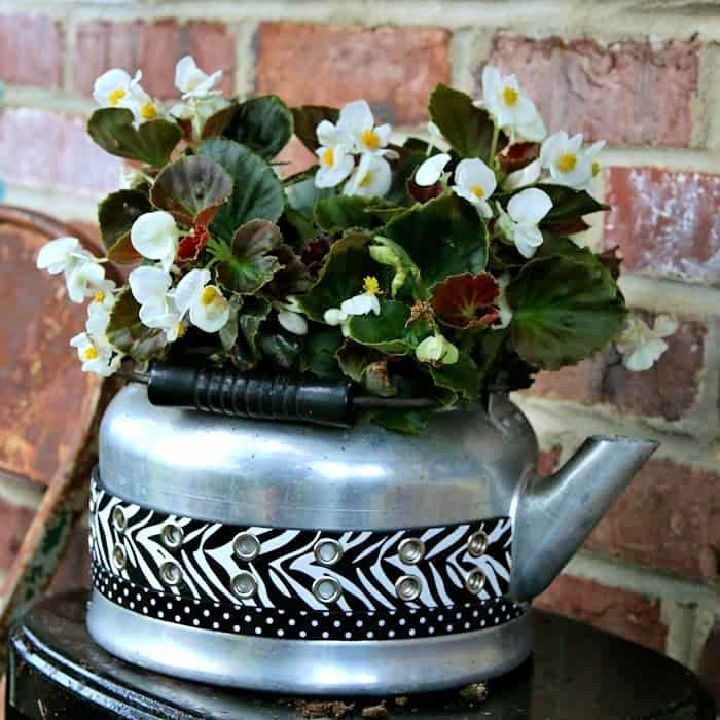 Tea Kettle Flower Pot