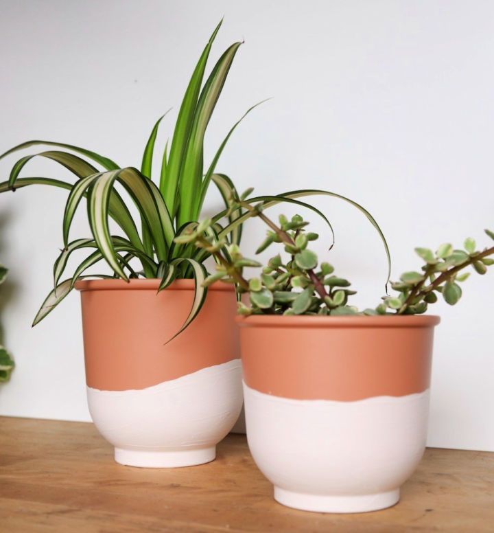 Two Tone Terra Cotta Pots