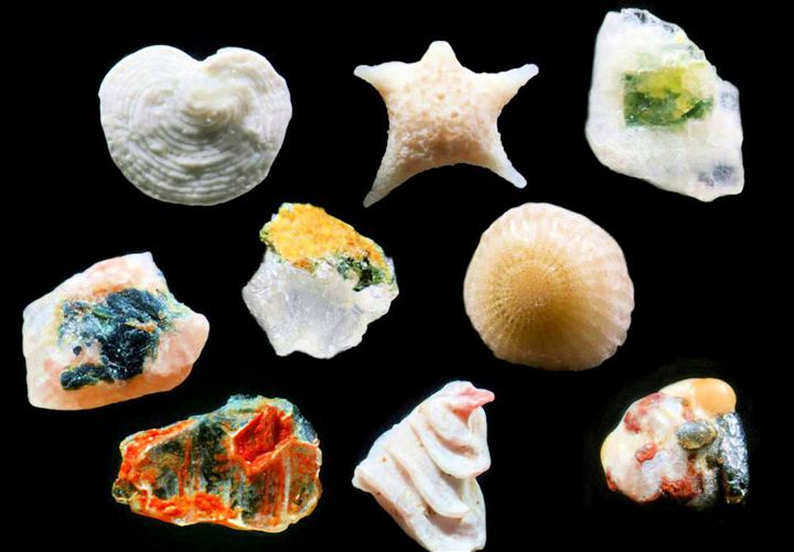 what does sand look like under a microscope