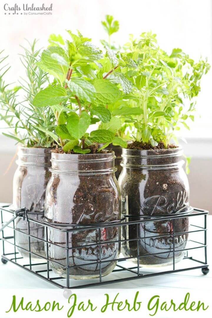 Easy DIY Mason Jar Herb Garden 1
