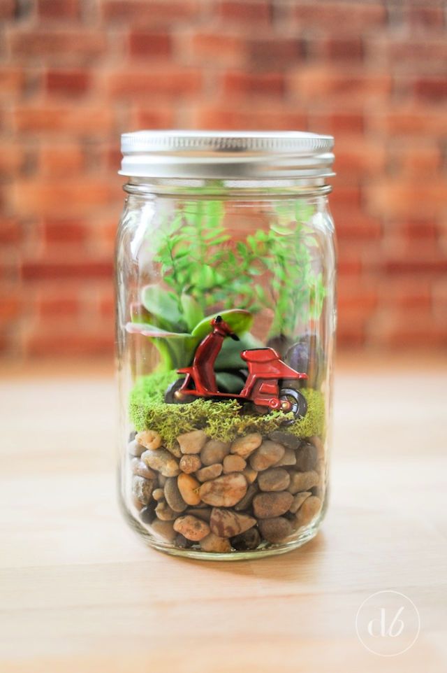 Make Mason Jar Terrariums Under 1 Hour