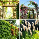 22 Backyard Privacy Ideas for Secluded Outdoor Living