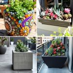 22 Beautiful Outdoor Succulent Container Garden Ideas