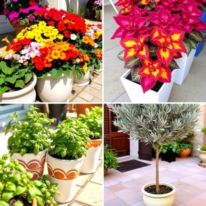 22 Best Patio Plants for Thriving Outdoor Container Gardens