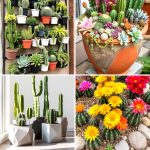 22 Cactus Garden Ideas for Drought-Tolerant Landscaping