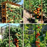 22 Practical Tomato Trellis Ideas for Healthy Gardens