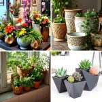 22 Stunning Potted Plant Arrangement Ideas for Indoor Gardens