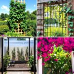 22 Trellis Ideas for Privacy in Your Garden or Patio