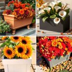 22 Vibrant Fall Flower Box Ideas to Brighten Home Exteriors