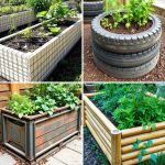 Affordable Raised Garden Bed Ideas for Thriving Veggie Gardens