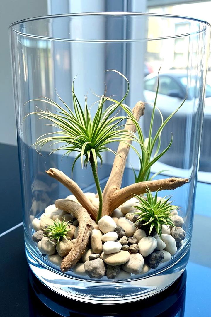 Air Plant Display - 22 Terrarium Ideas