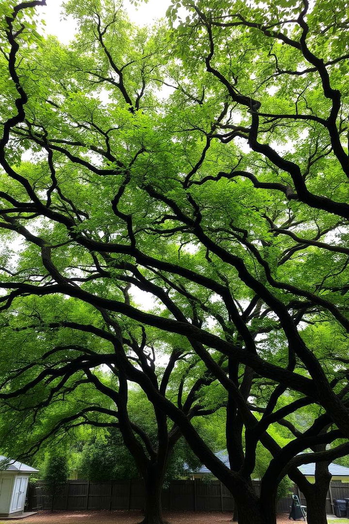 Backyard Canopy Creation - 22 Tree Landscaping Ideas