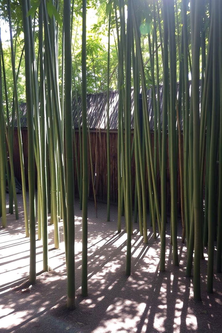 Bamboo Retreat - 22 Tropical Garden Ideas