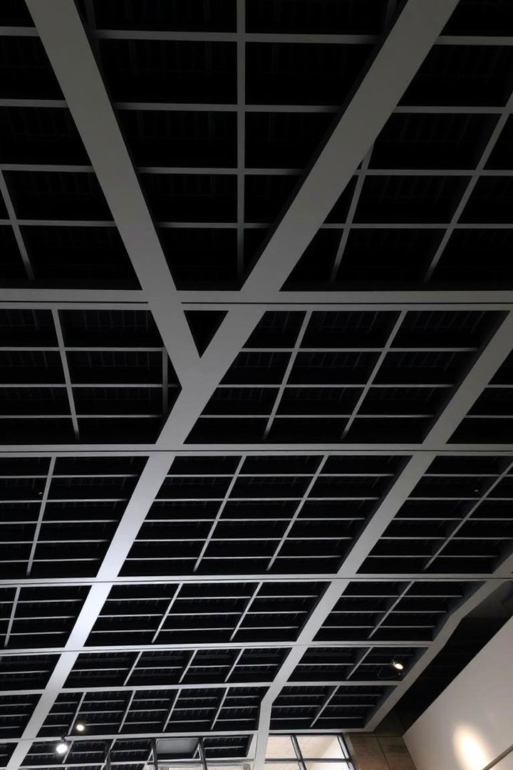Contemporary Grid Patterns - 22 black ceiling ideas