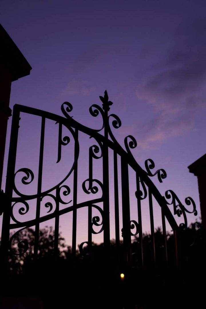 Curved Ironwork Elegance Gate - 22 Japanese Garden Gate Design Ideas