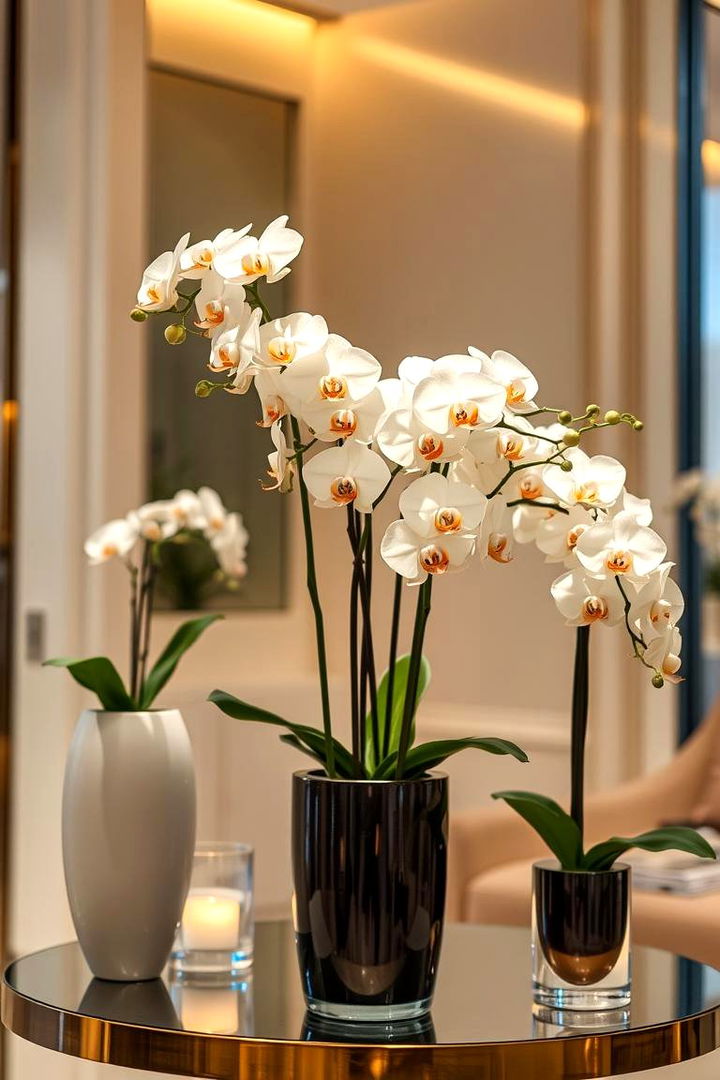 Elegant Orchid Display - 22 Indoor Garden Ideas