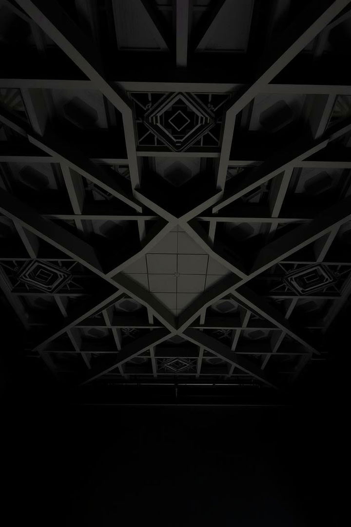 Geometric Patterns - 22 Black Ceiling Design Ideas