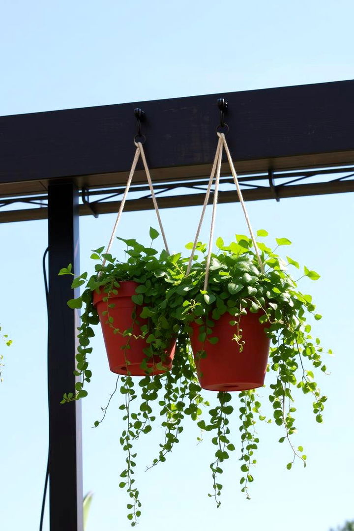 Hanging Planters - 22 Garden Shade Ideas