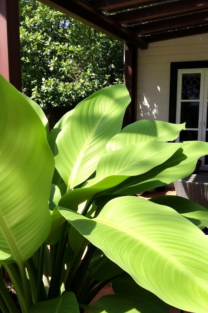 Hostas for Lush Foliage and Shade - 22 Outdoor Plants for Patio