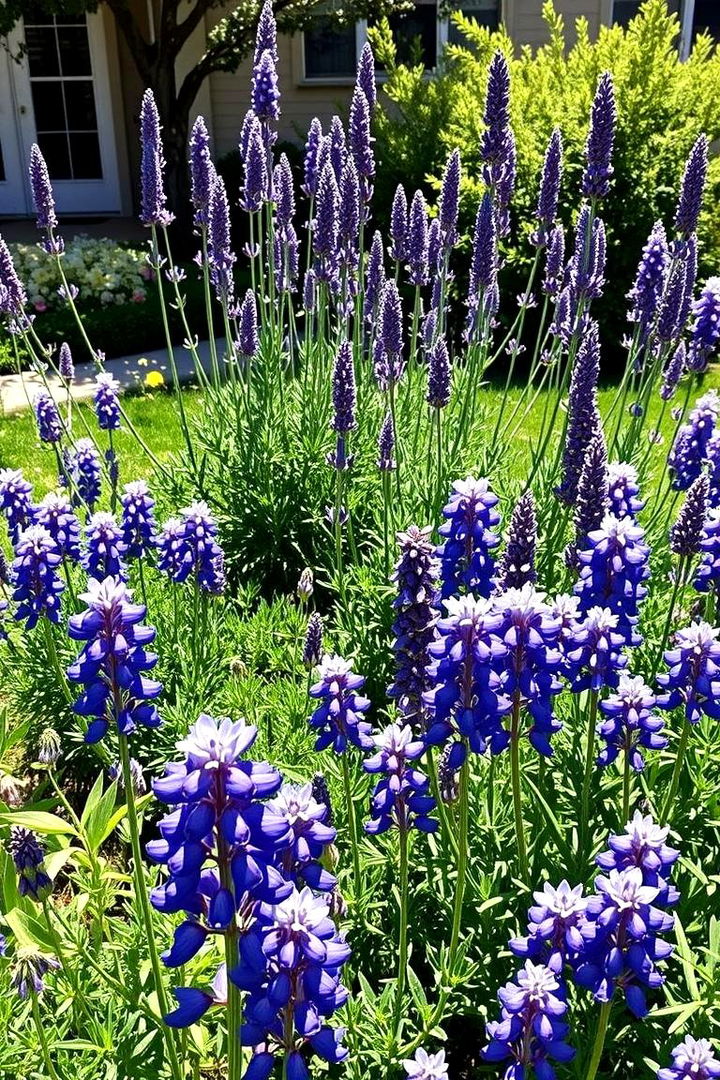 Integrated Native and Exotic Palette - 22 Front Yard Texas Flower Bed Ideas