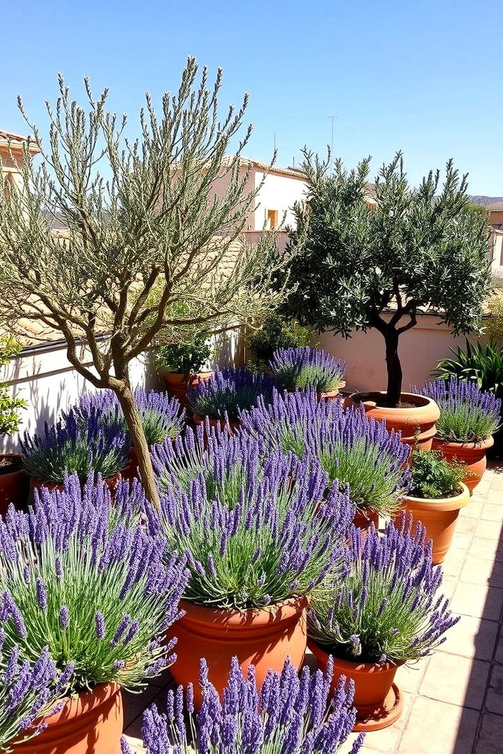 Mediterranean Charm Garden - 22 Rooftop Garden Ideas