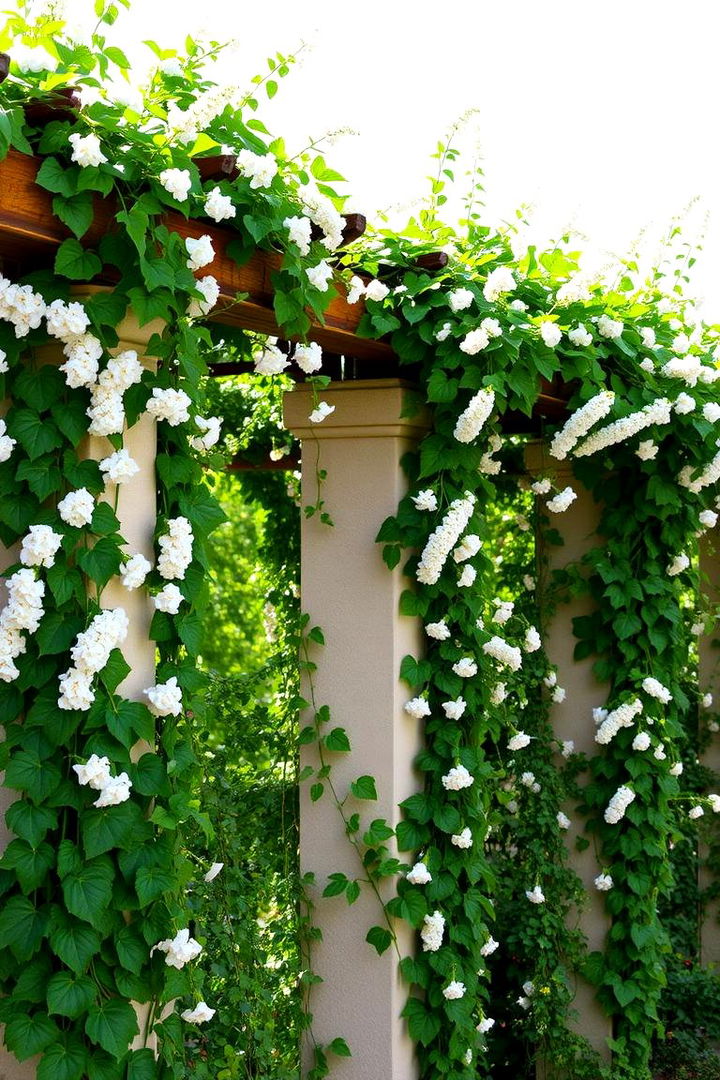 Mediterranean Climbing Vines - 22 Mediterranean Garden Ideas