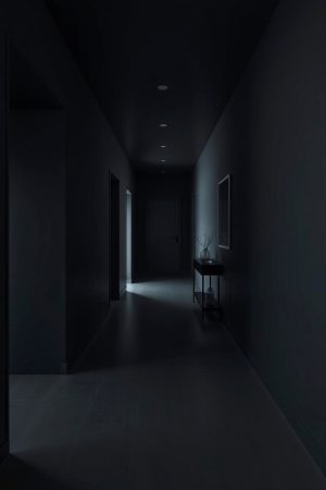 22 Elegant Black Hallway Design Ideas for Modern Homes - Lost At E Minor
