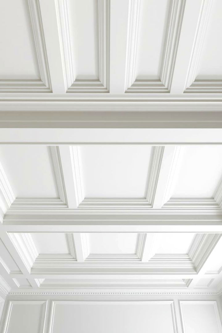 Monochromatic Sophistication - 22 Coffered Ceiling Ideas