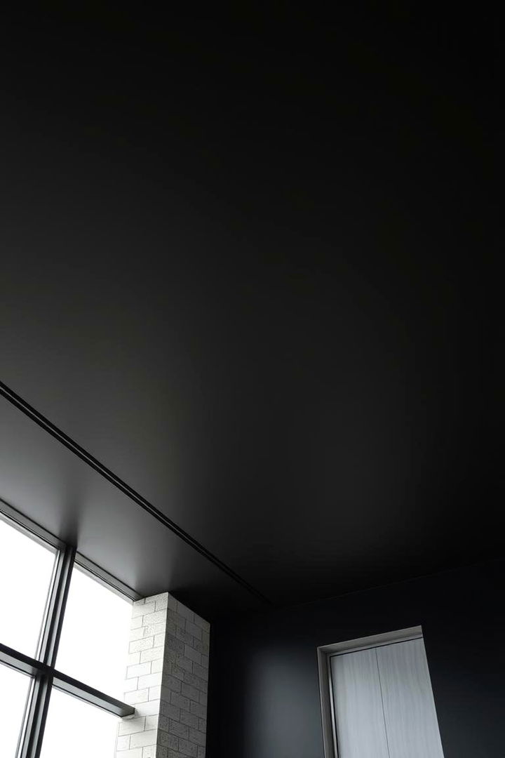 Monochrome Statement Look - 22 black ceiling ideas