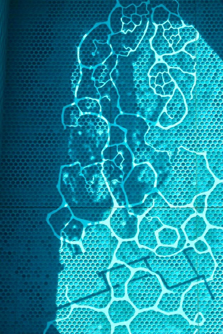 Perforated Patterns - 22 Pool Tile Ideas