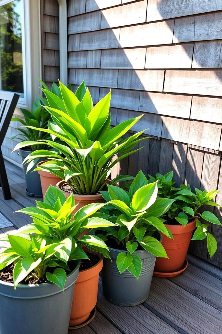 Potted Plant Arrangements for Privacy - 22 Deck Privacy Ideas
