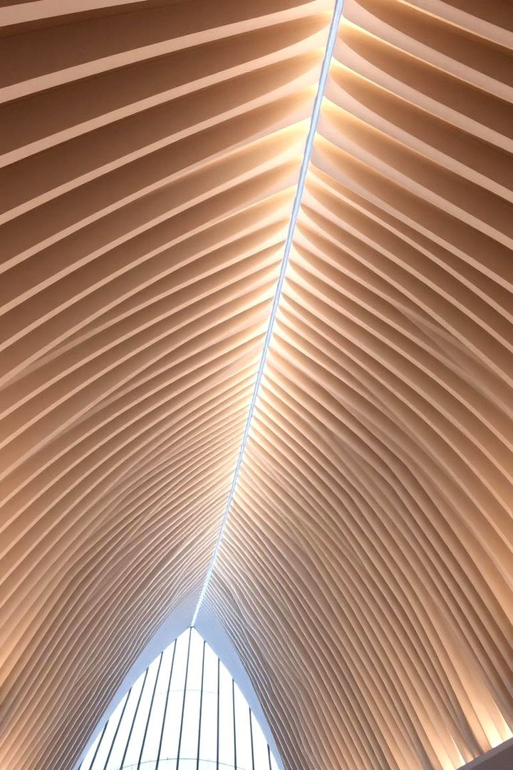 Sculptural Sloped Ceilings - 22 Cathedral Ceiling Ideas