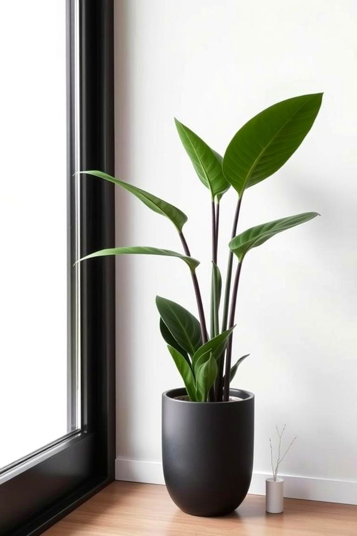 Sleek Minimalist Plant Decor - 22 Ways Decorating With Plants
