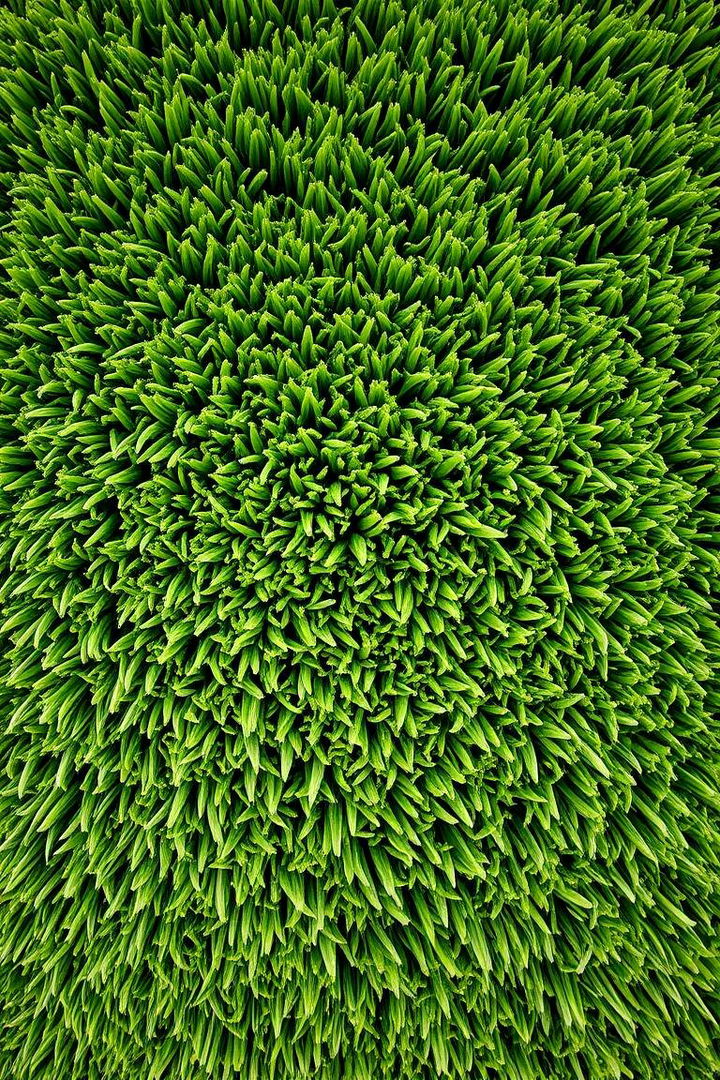 Textured Organic Touch - 22 Artificial Grass Wall Design Ideas