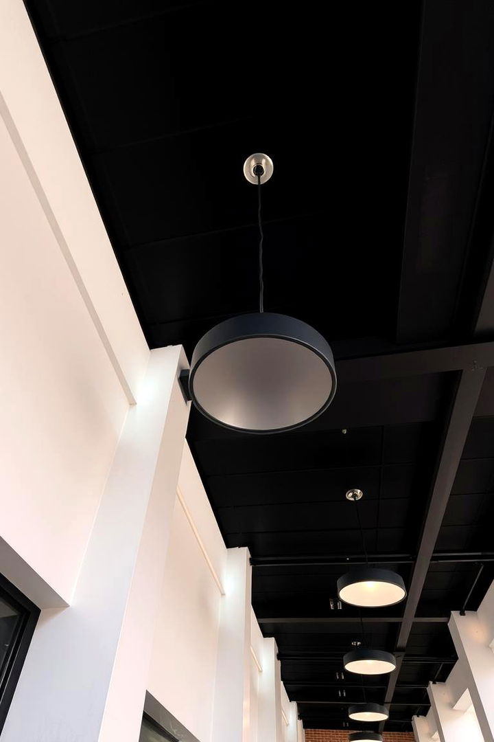 Urban Sophistication - 22 Black Ceiling Design Ideas