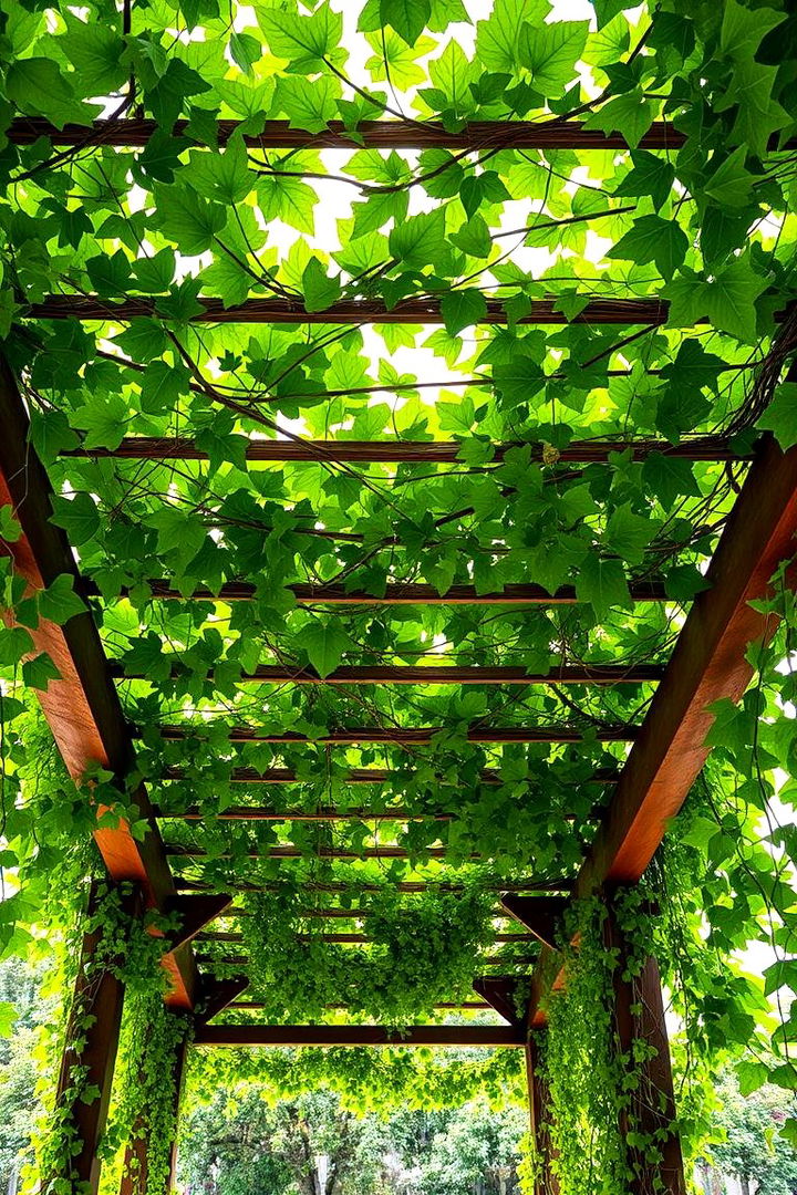 Vine Covered Pergola - 22 Pergola Roof Ideas
