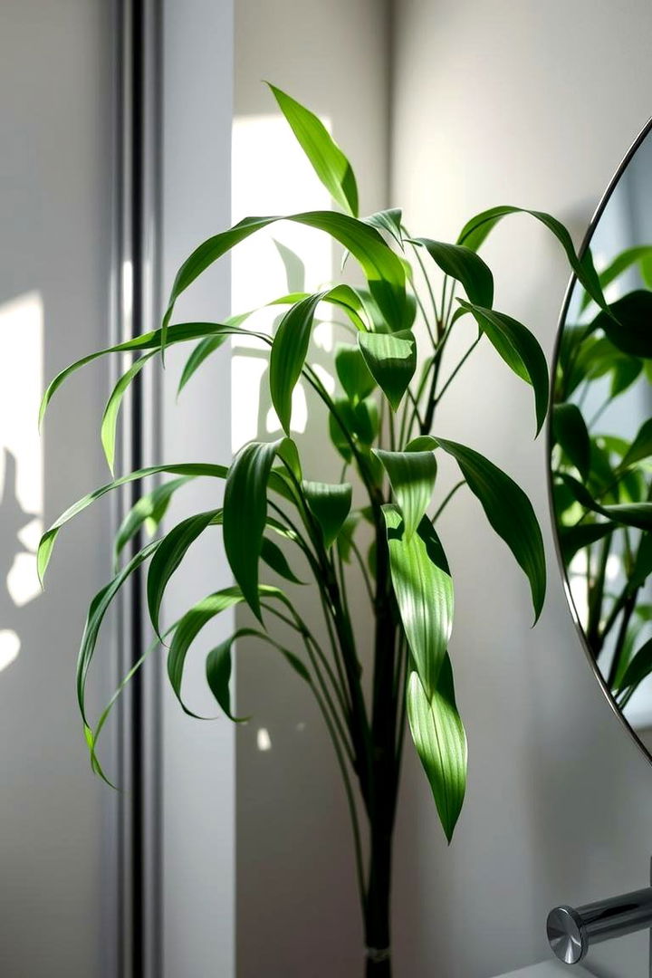 Invigorating Spider Plant - Best Plants for Bathroom Spaces to Enhance Air and Style