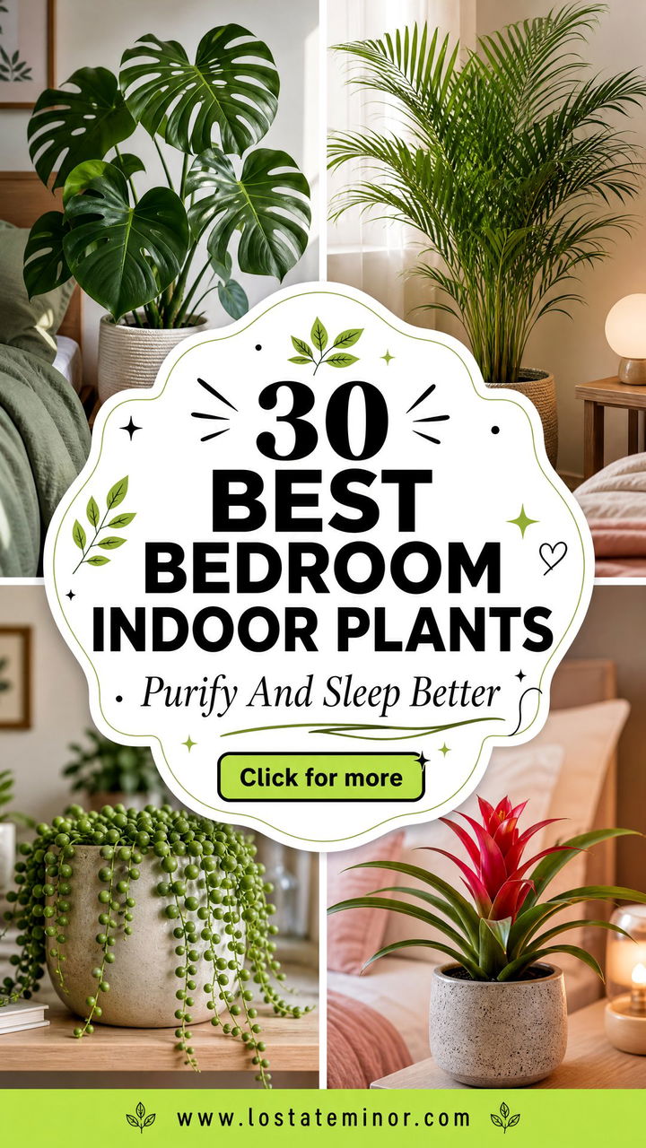 30 Best Bedroom Indoor Plants to Purify Your Air and Sleep - 30 Best Bedroom Indoor Plants to Purify Your Air and Sleep
