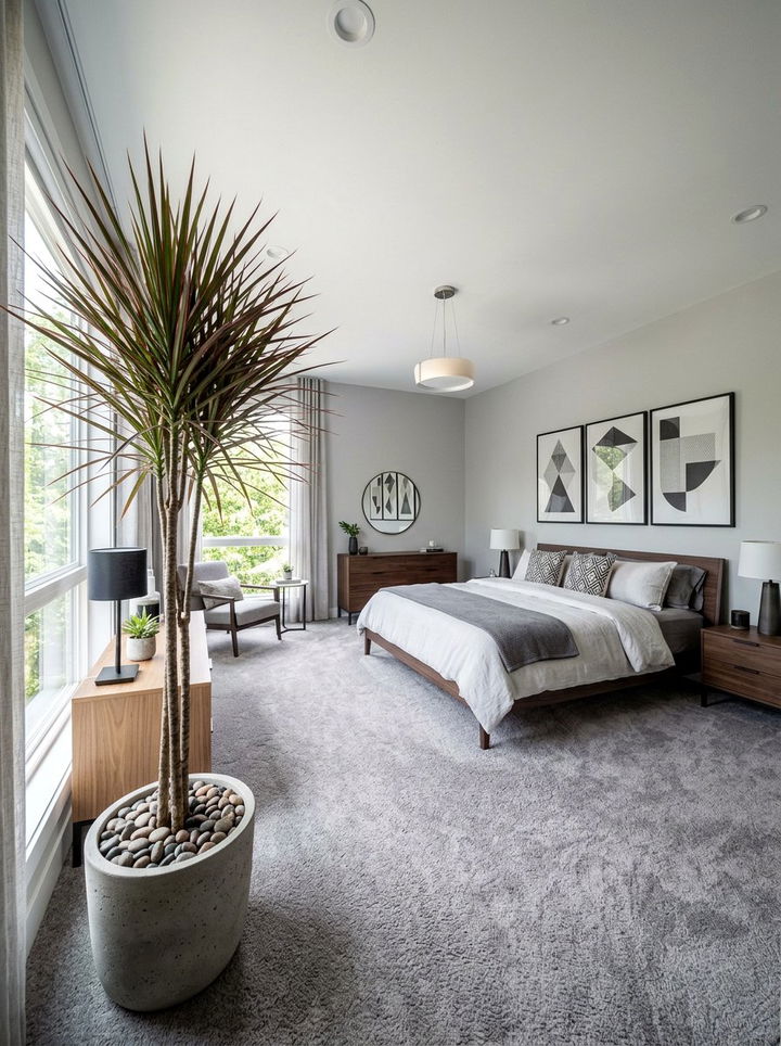 Dracaena Marginata Care - 30 bedroom air purifying plants