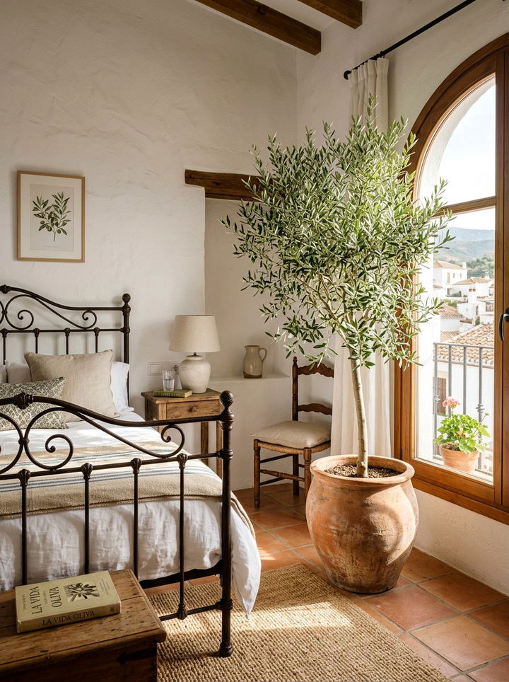 Indoor Olive Tree - 30 Spanish bedroom ideas