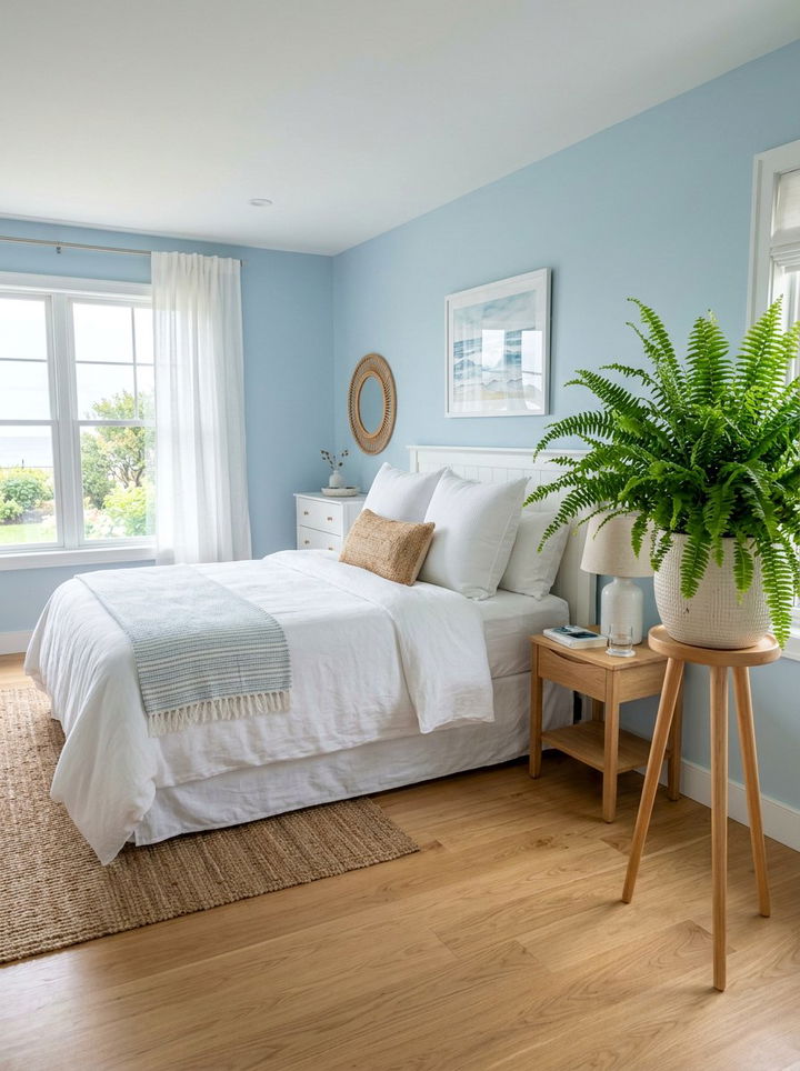 Kimberly Queen Fern - 30 bedroom air purifying plants