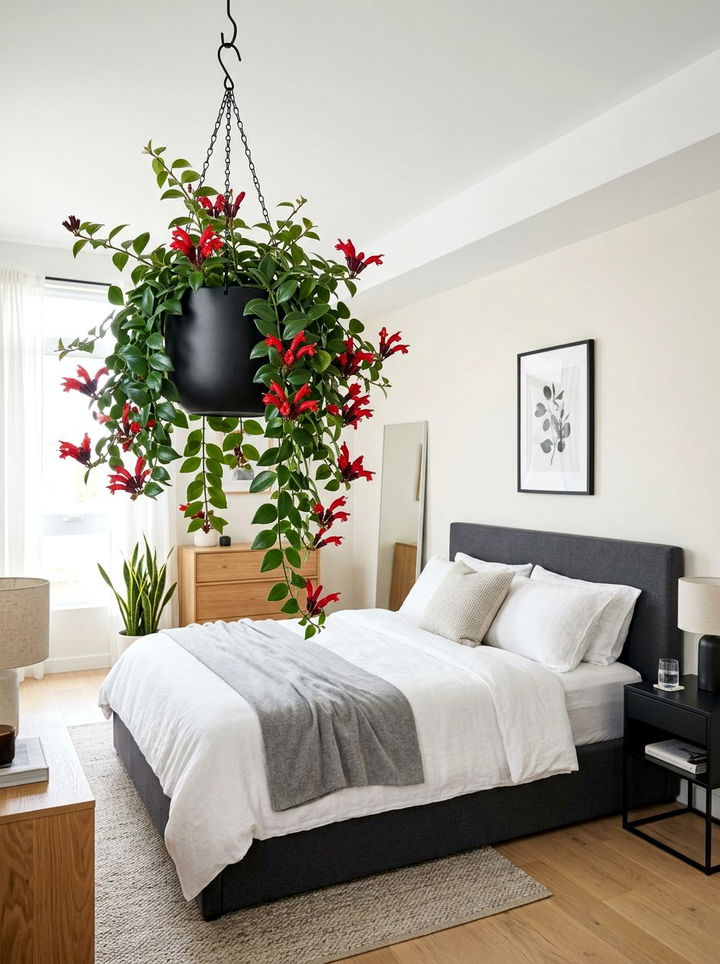 Lipstick Plant Bedroom - 30 bedroom hanging plants