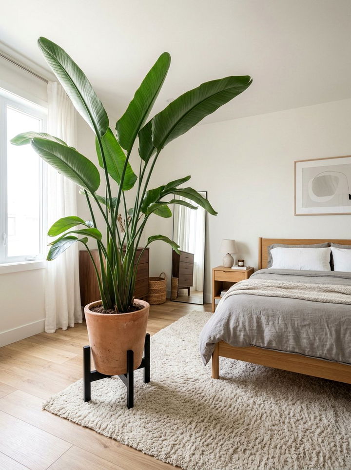 Low profile plant stand - 30 bedroom plant stands