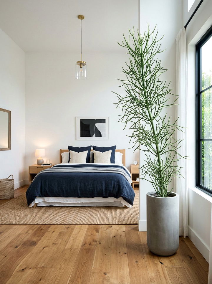 Pencil cactus modern bedroom - 30 bedroom succulents
