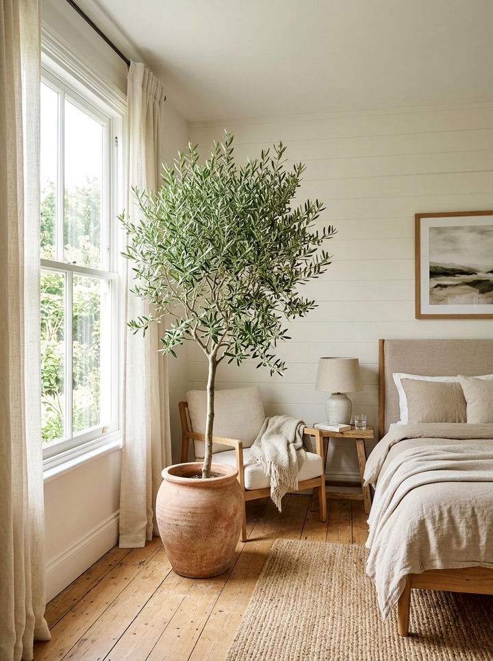 Potted Olive Tree - 30 fixer upper bedroom ideas