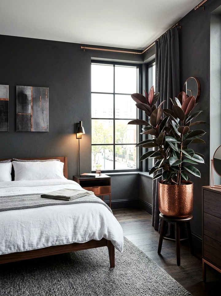 Rubber Plant Bedroom - 30 bedroom plants